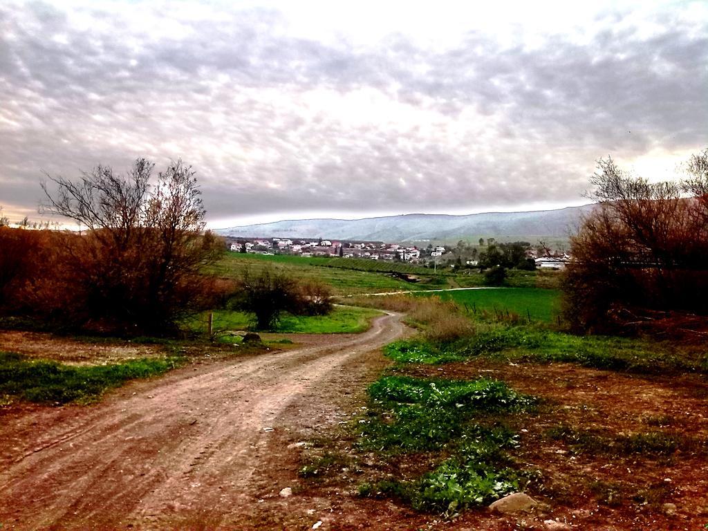 Jordan Valley One Room Apartment Menaẖemya Exteriör bild